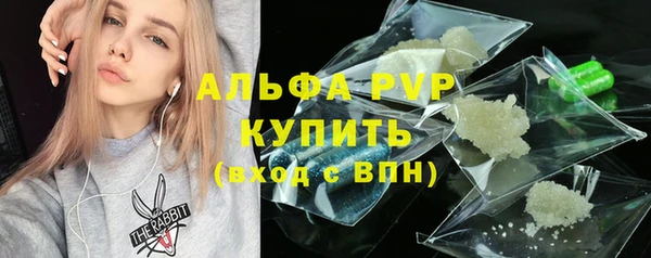 прущие крисы Пересвет