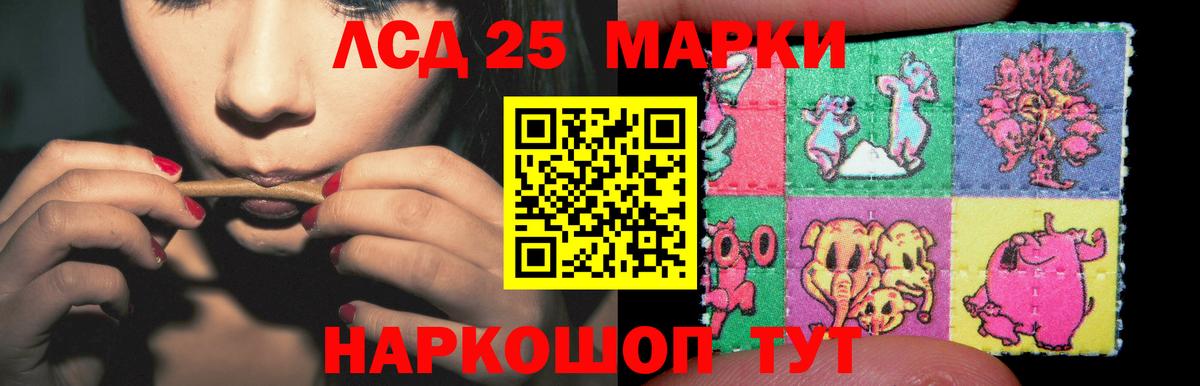 LSD-25 экстази кислота  ЛСД экстази кислота  Вход с VPN  Нефтекумск 
