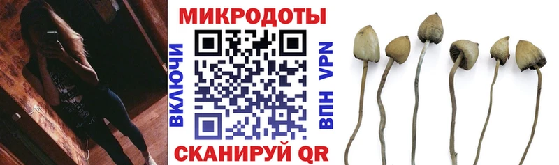 OMG ССЫЛКА  Нефтекумск  Псилоцибиновые грибы ЛСД 