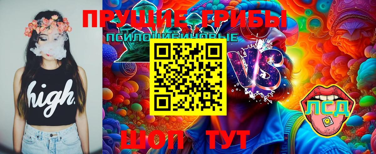 Нефтекумск  Псилоцибиновые грибы Cubensis  Вход с VPN  Псилоцибиновые грибы мицелий 